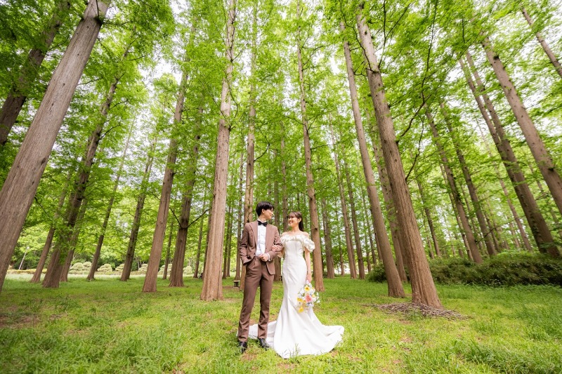 新緑がとてもきれいな5月の森はとっても美しい♡