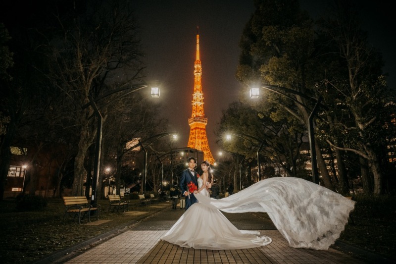 ロングベールの迫力ある一枚