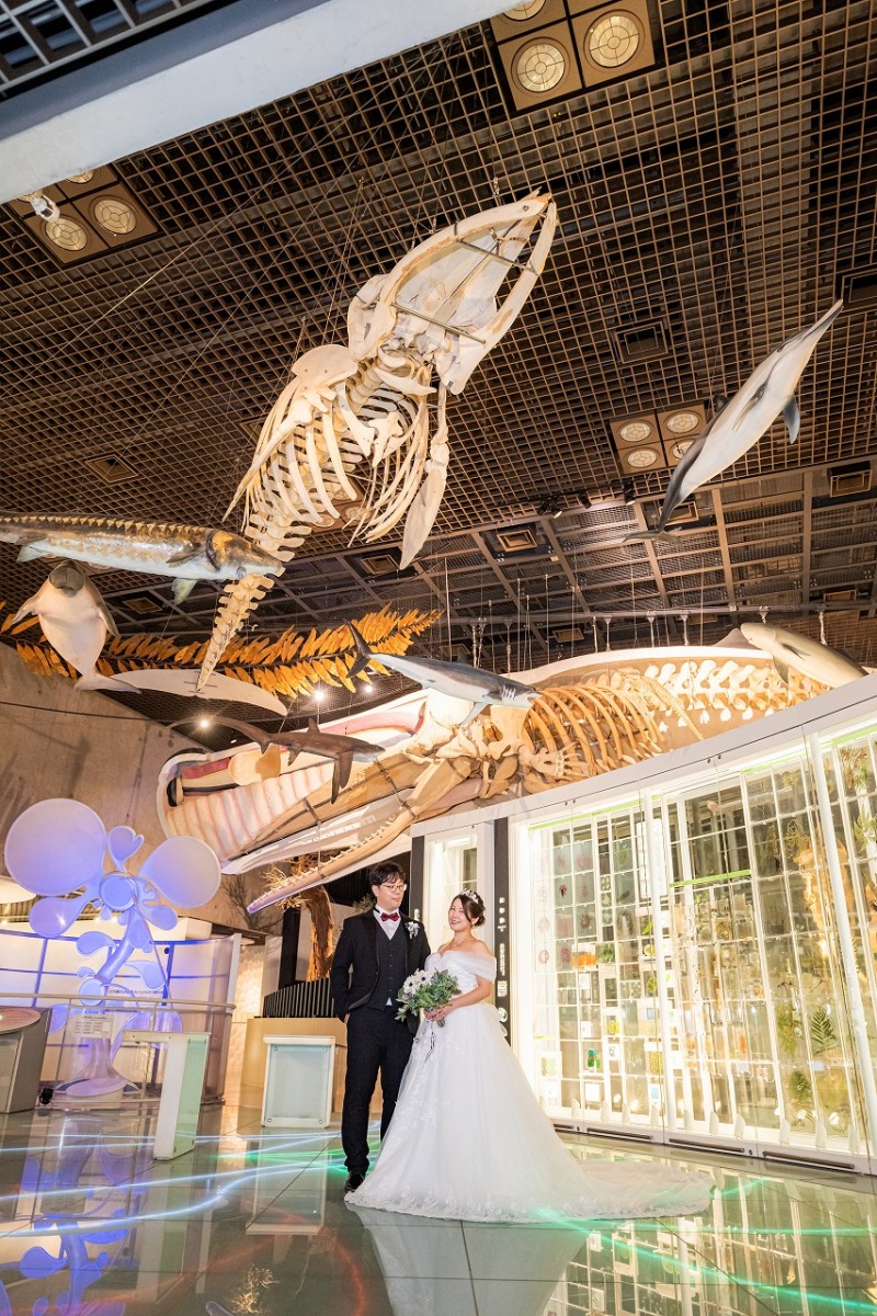 国立科学博物館といえば