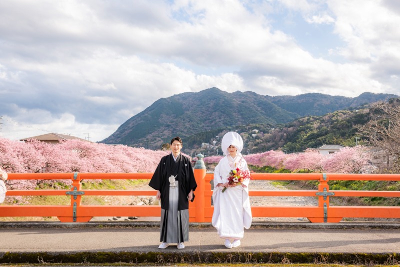 満開の桜と山々を一緒に