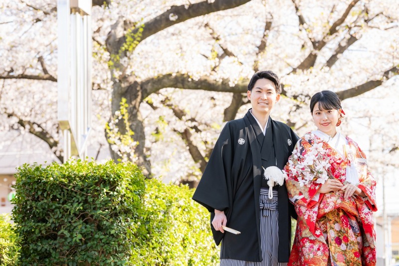 【孔雀プラン】春の庭園で桜をメインに、庭園とお茶室も。