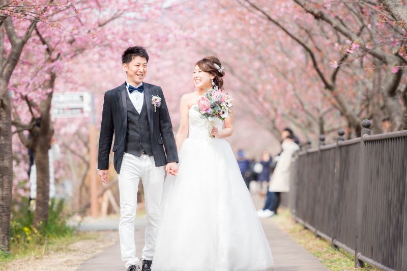 桜のトンネルって贅沢！