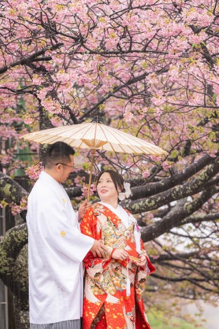 【河津桜プラン】河津桜が彩る春景色で叶えた和装と洋装のウェディングフォト