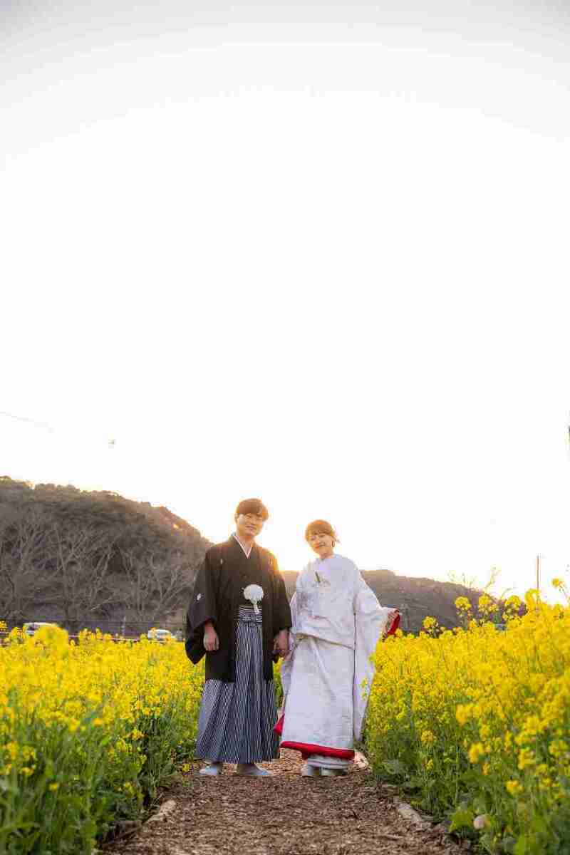夕暮れの菜の花に包まれた春の一枚