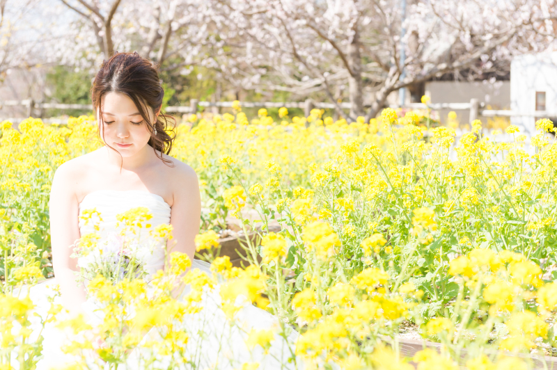 菜の花畑でのお座りショット☆