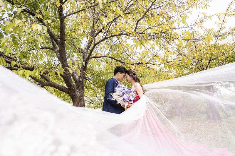 ベールショット