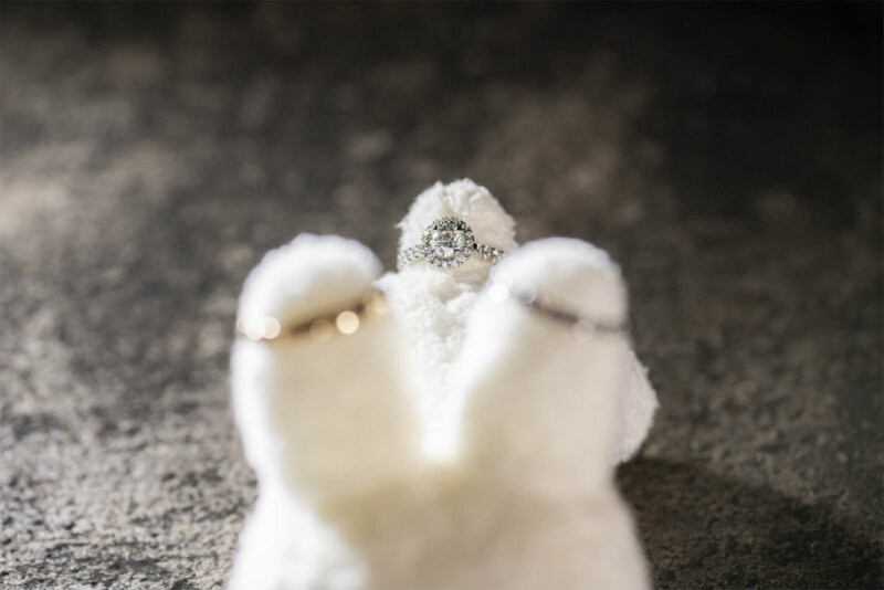 結婚指輪とエンゲージリングを運ぶぬいぐるみ