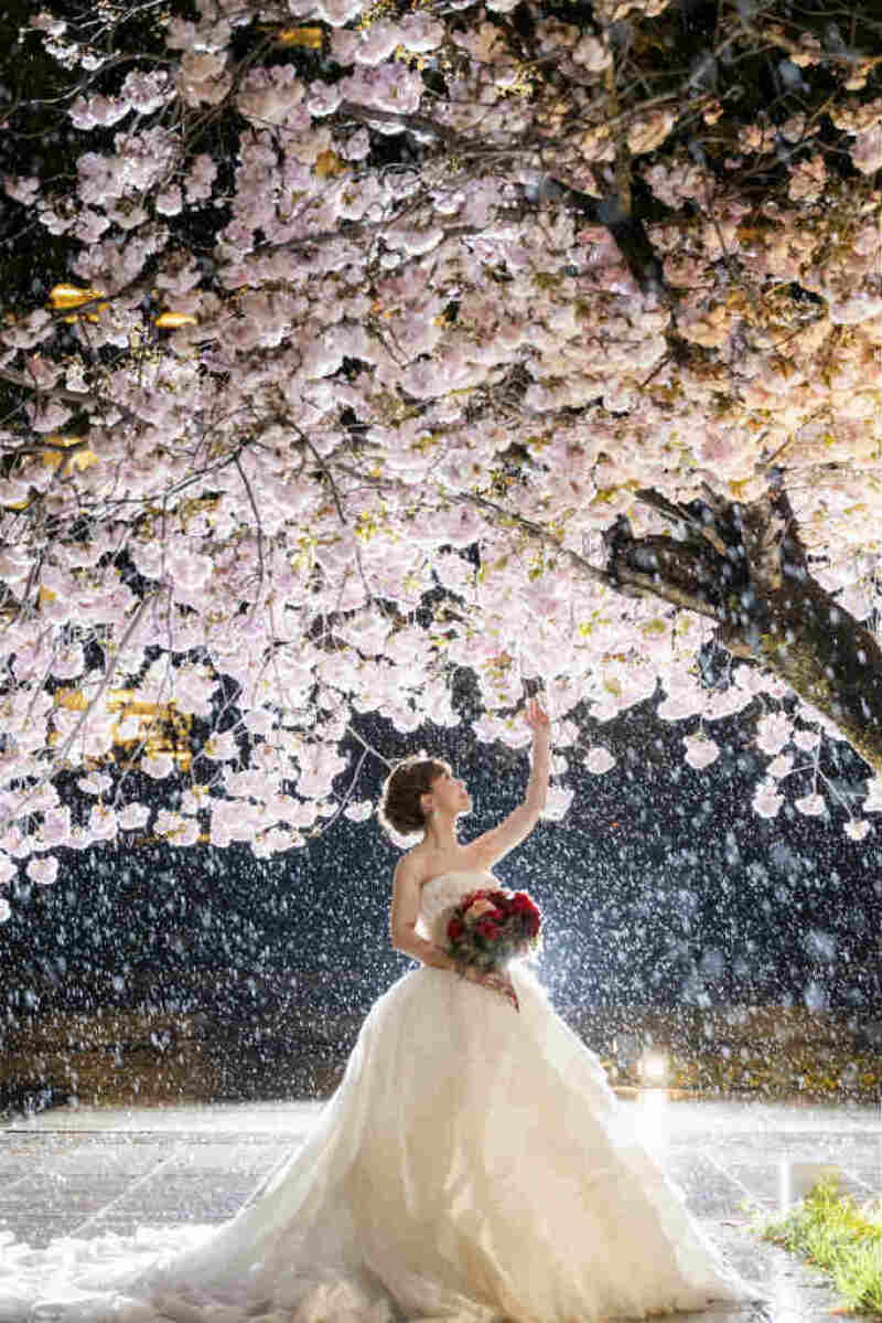 和田倉噴水公園、桜と新婦様のソロショット♡