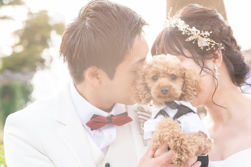 わんちゃんも大事な主役☆