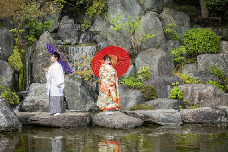 庭園の岩の上で華やぐ色打掛と番傘