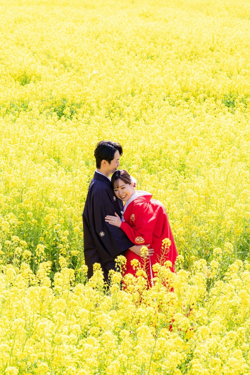 黄色い花畑に映える和装の彩り