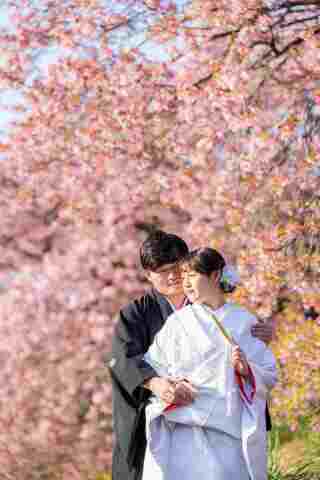 【河津桜プラン】河津桜と菜の花に包まれた春の和装ウェディングフォト
