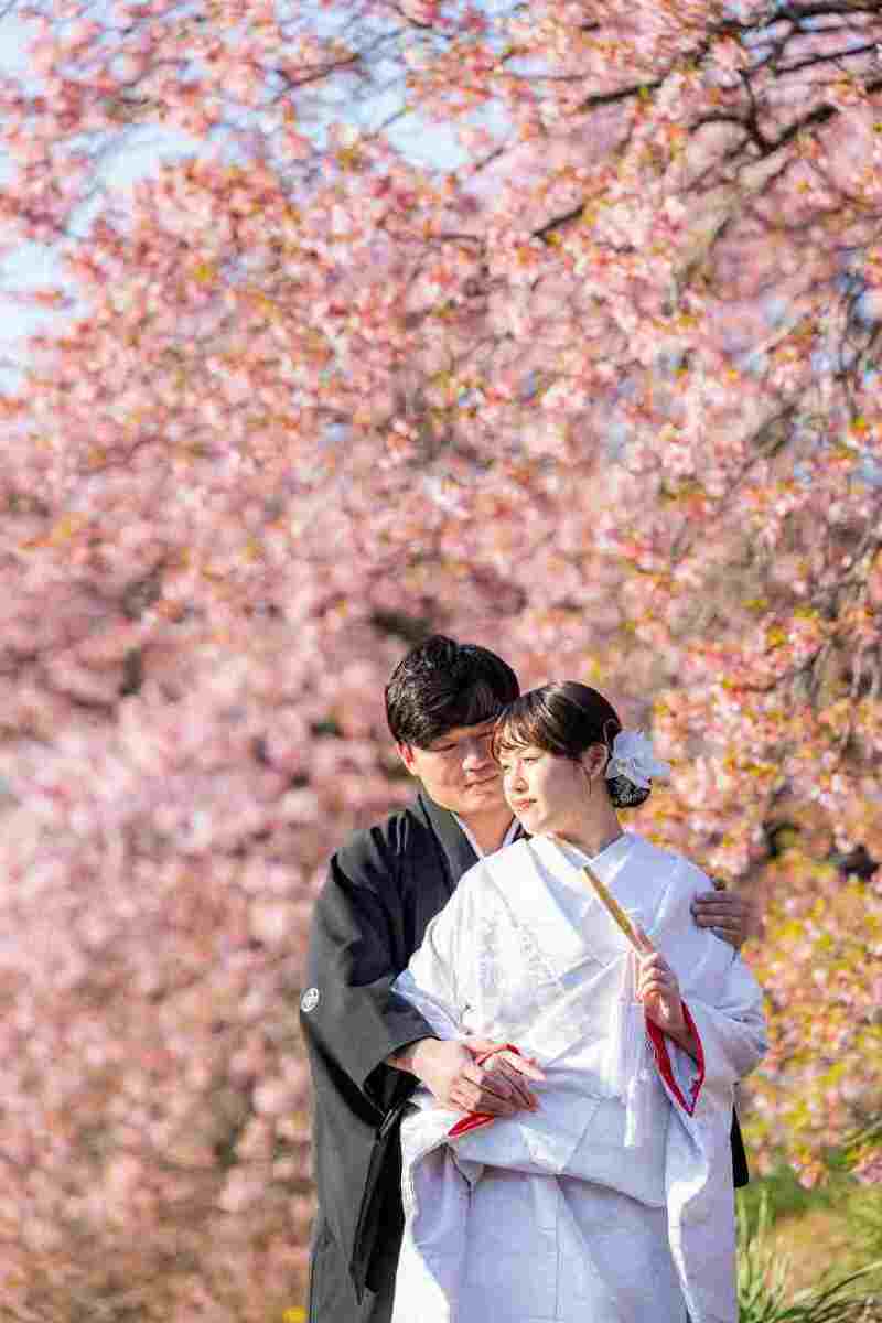 【河津桜プラン】河津桜と菜の花に包まれた春の和装ウェディングフォト