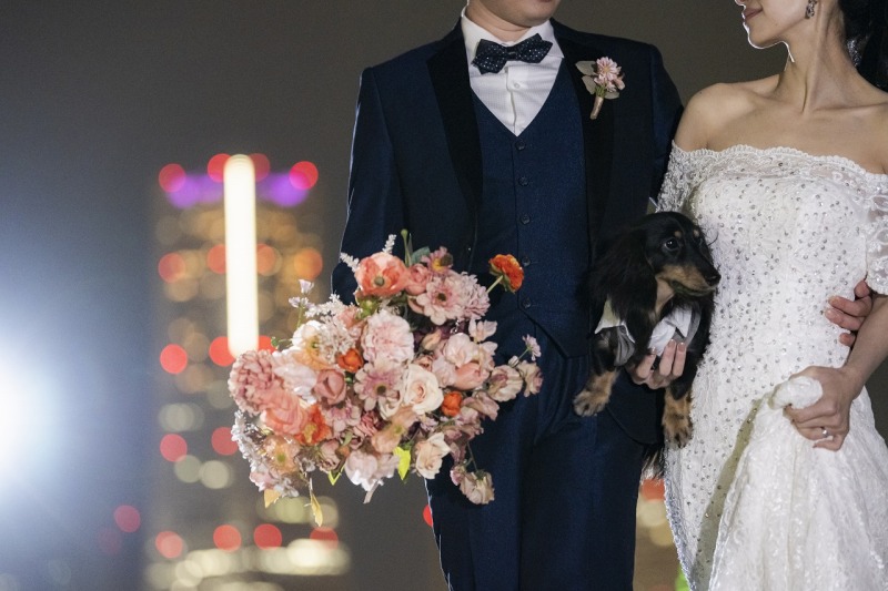 わんちゃんをメインに...！