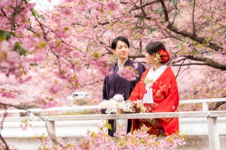 神社と桜を一緒に贅沢和装撮影☆