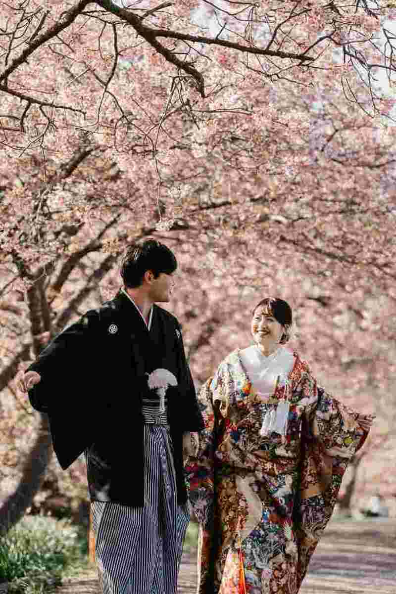 満開の河津桜が見守る春の散歩道