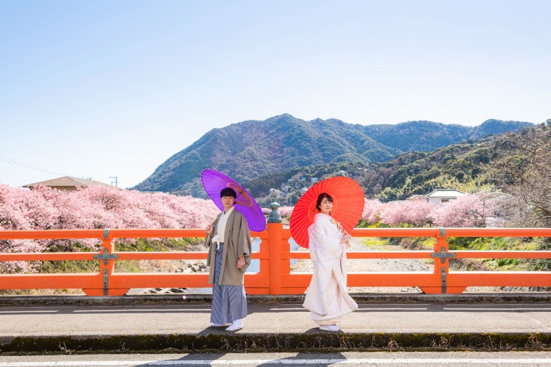 大自然をバックに