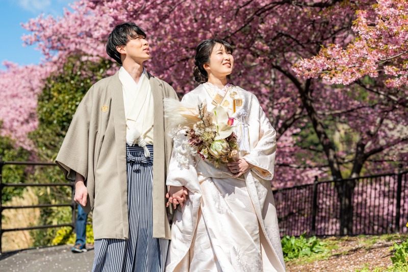 桜を眺めながら