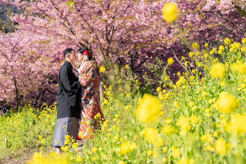 春の訪れと共に