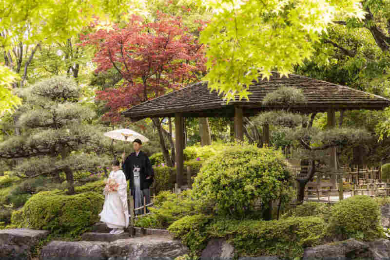 緑鮮やかな庭園での一枚