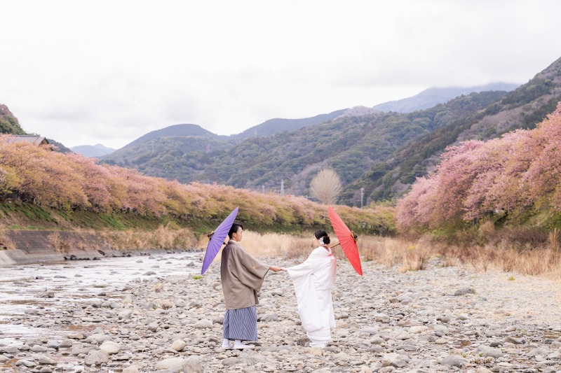 春色に染まる河津桜と川辺の風景