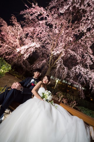 山下公園夜桜フォト☆