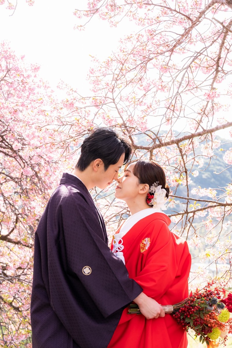 河津桜に包まれた春のやさしいひととき