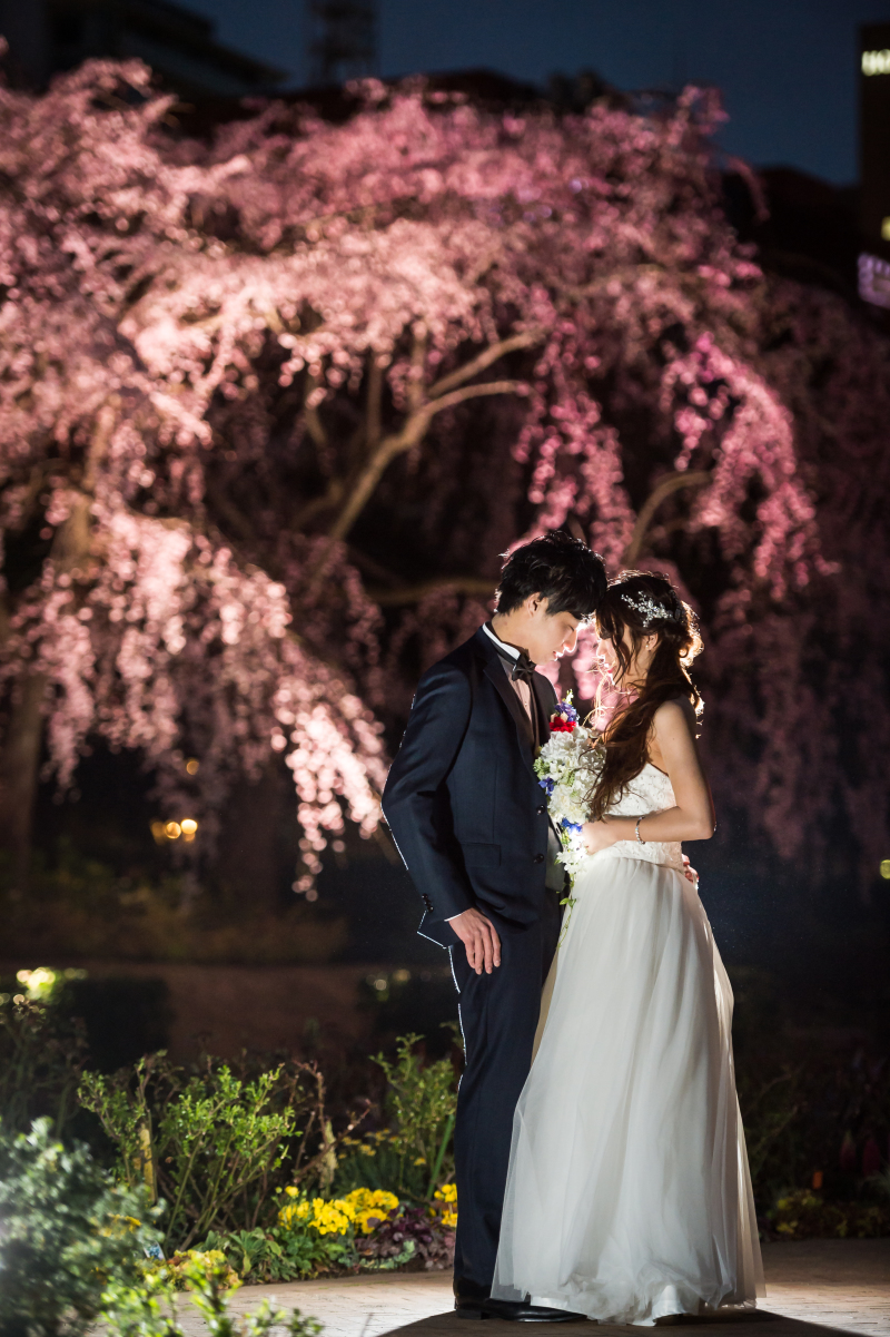 桜のライトアップ☆