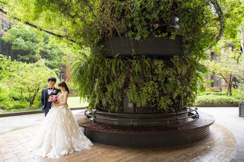 植物に囲まれて