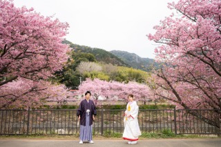 河津桜をはんなり満喫♪前撮りロケーションフォト