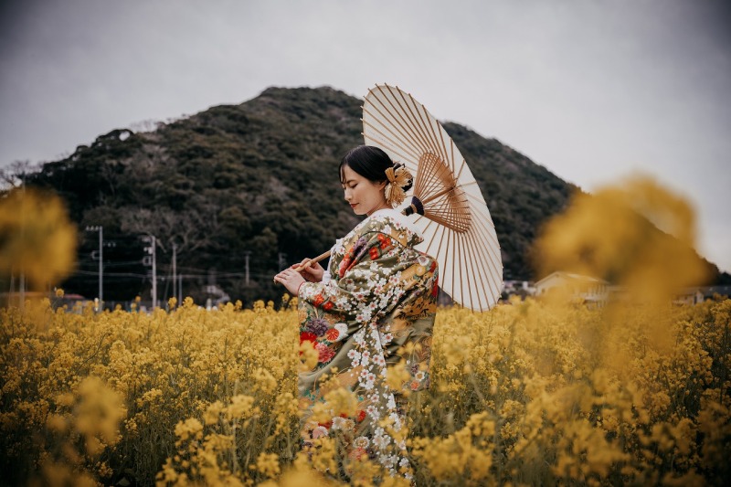 菜の花に映える色打掛と和傘の装い