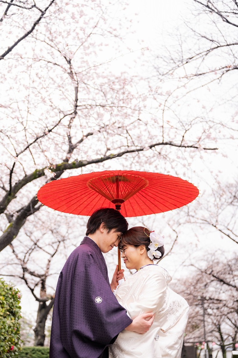 桜と番傘に包まれて寄り添う和装シーン