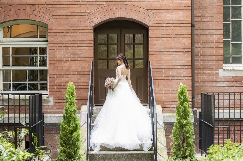 美しいトレーン