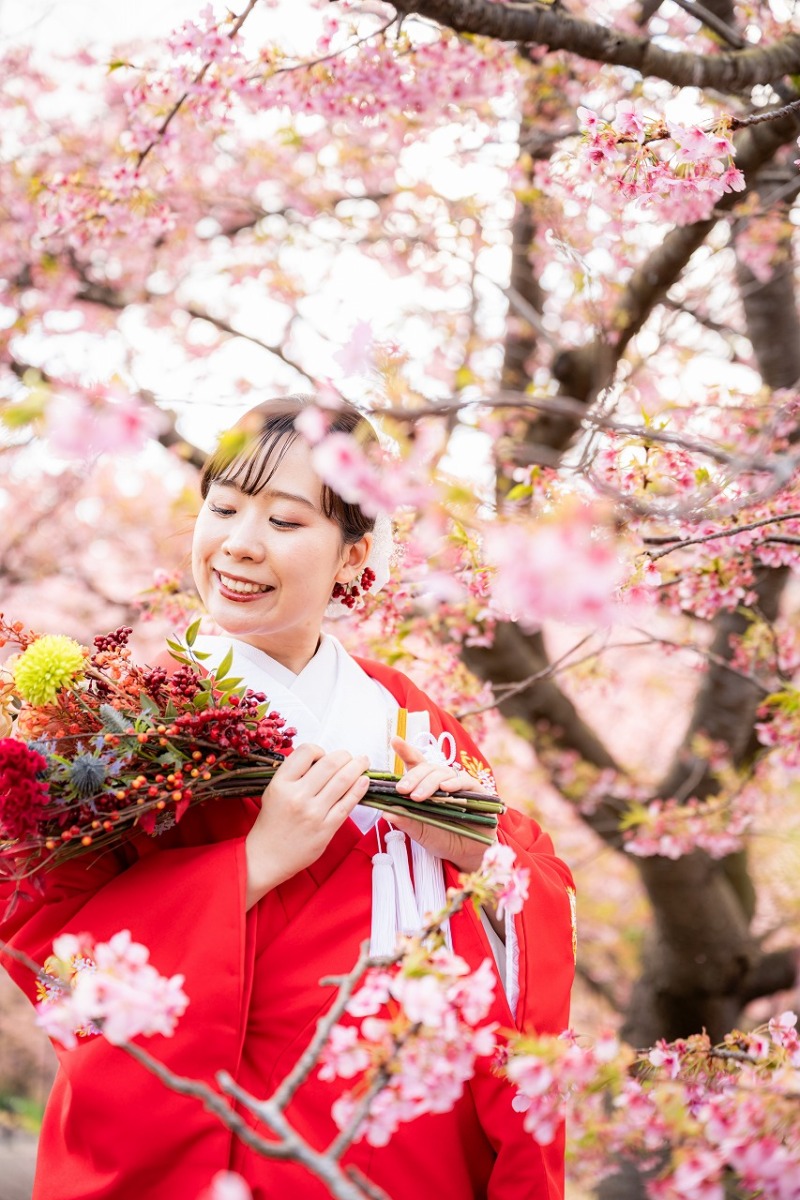 河津桜に包まれた色打掛の華やかな佇まい
