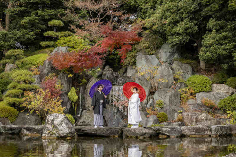 詫び寂の中に鮮やかさを