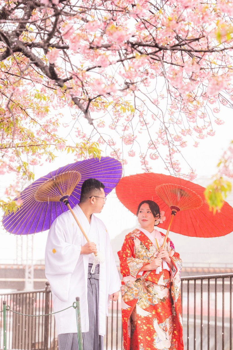 春の河津桜と和傘が彩る和装ロケーション撮影