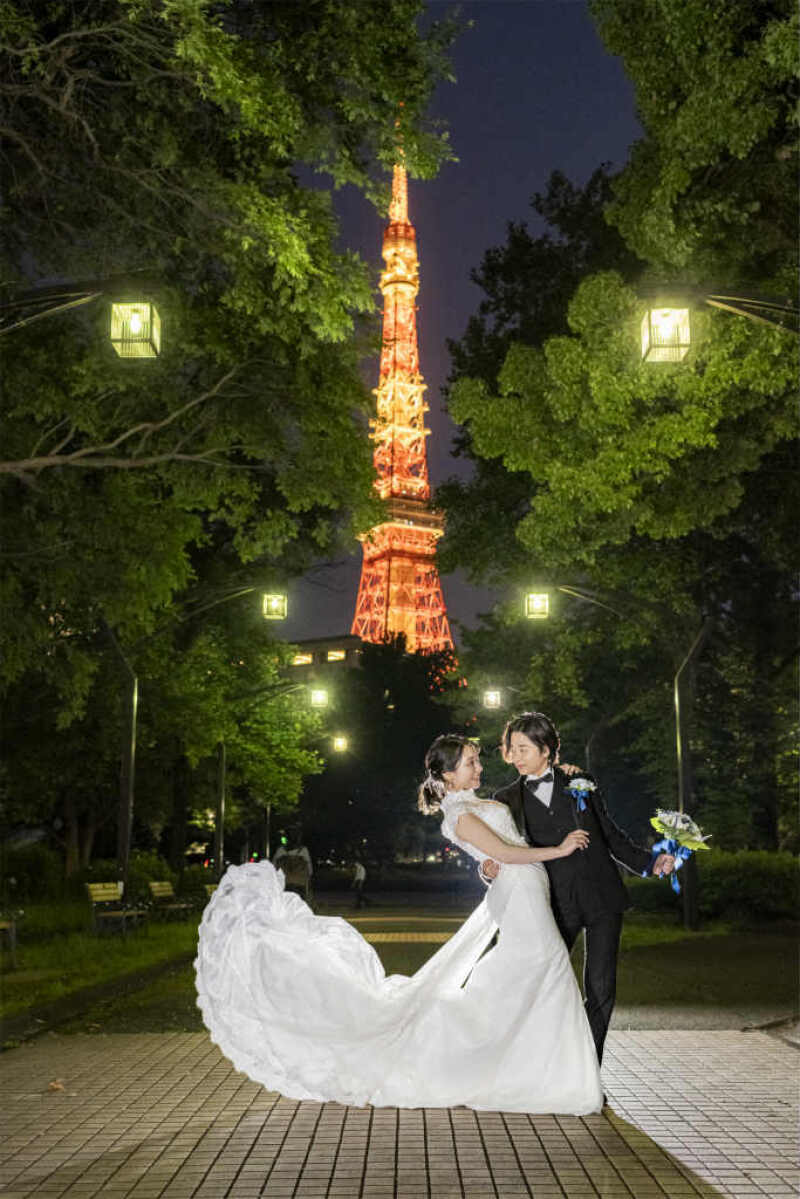 ドレスファサっと