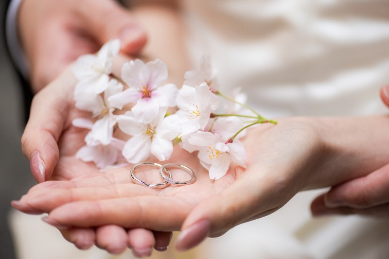 風が運んだ桜の花びらと、指輪に想いを重ねた一枚。