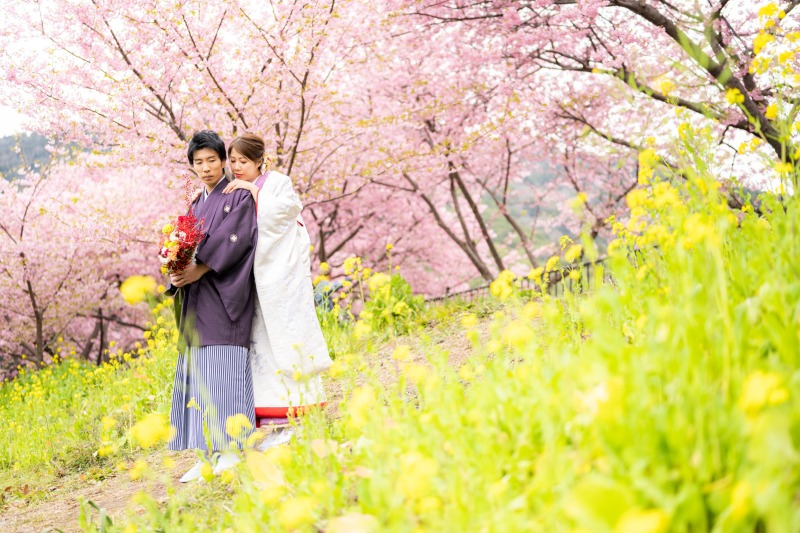 菜の花も見頃です♪
