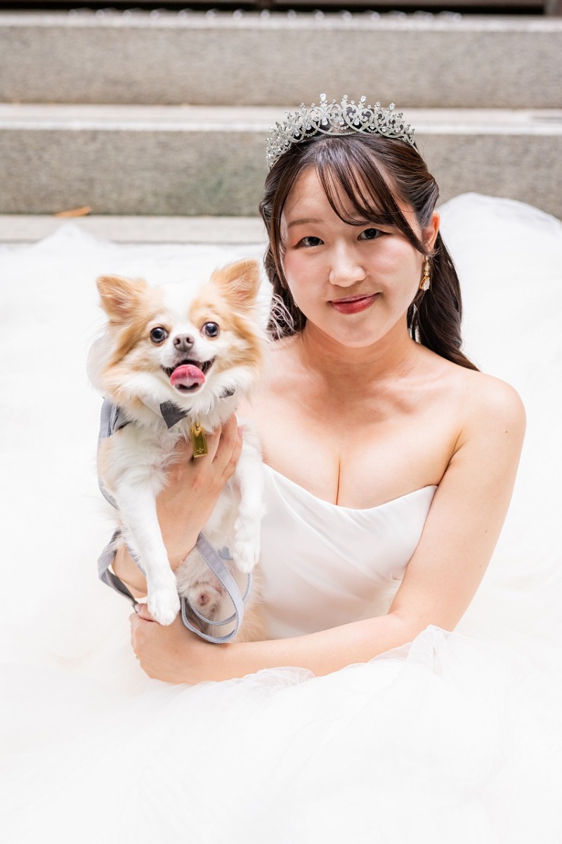 愛犬と紡ぐ純白の時間