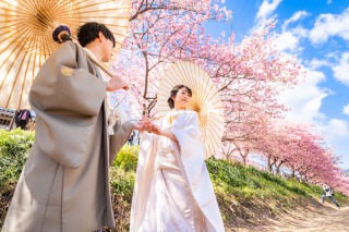 河津桜に包まれて和装撮影♪