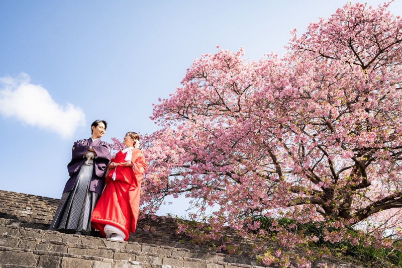 石階段の先に広がる河津桜と春景色