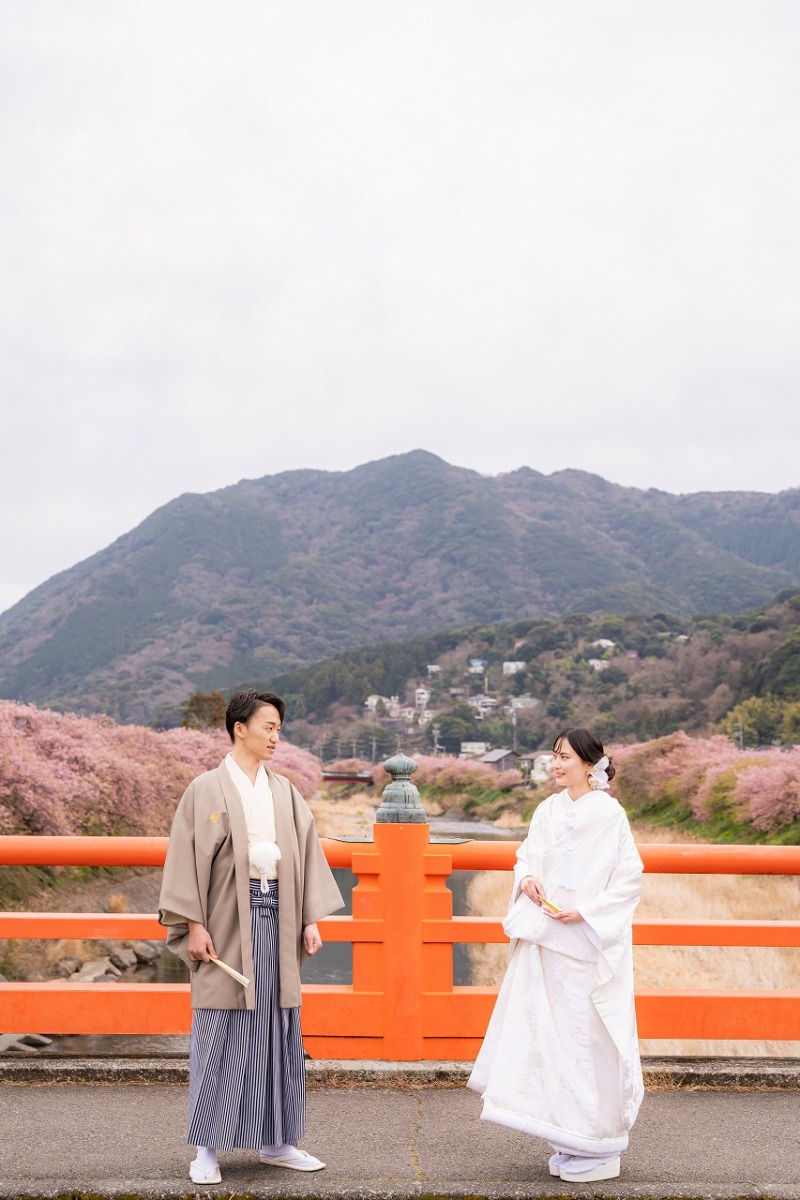 河津桜と朱色の橋が映える春の情景