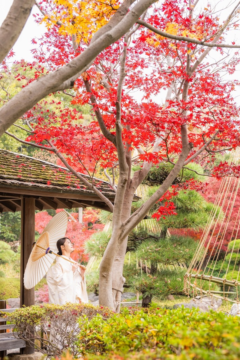 紅葉を見上げる白無垢姿のひととき