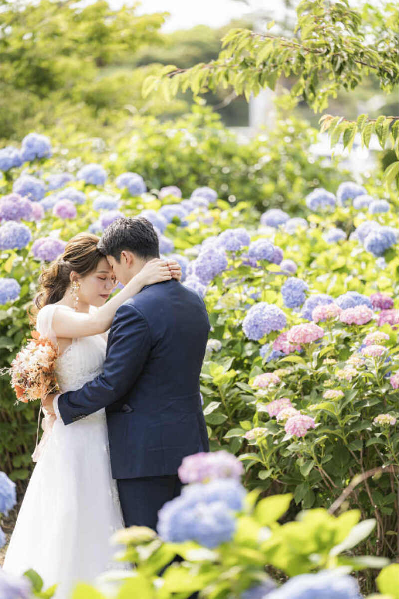 紫陽花とともに