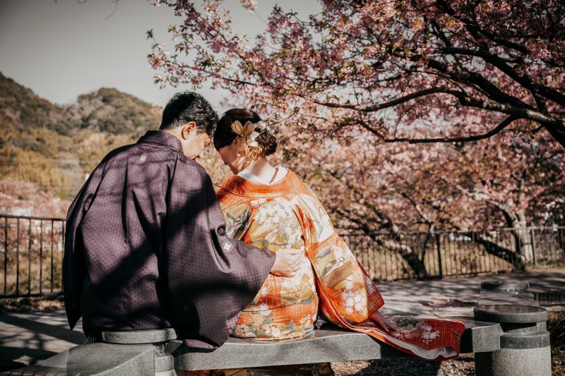 河津桜とともに過ごす穏やかな和装の時間