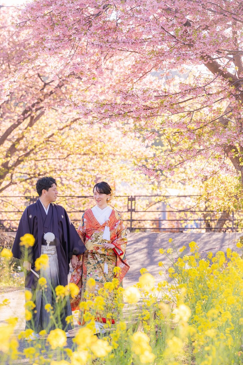 河津桜と菜の花に包まれる春の和装撮影