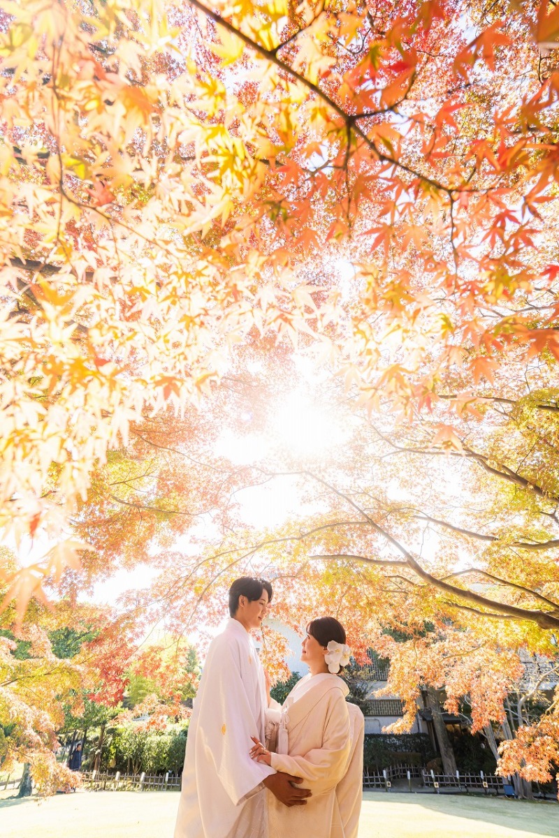 【紅葉×イルミネーション】和装も洋装も一日にギュッと詰め込んで素敵な一日を