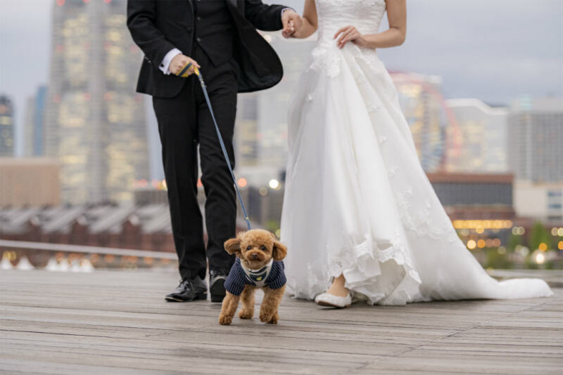 足元ショットをワンちゃんも!