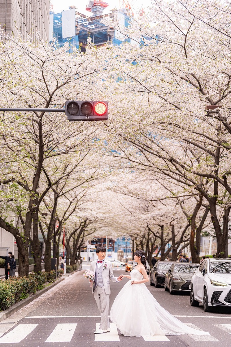 桜並木に包まれる日本橋の春フォト